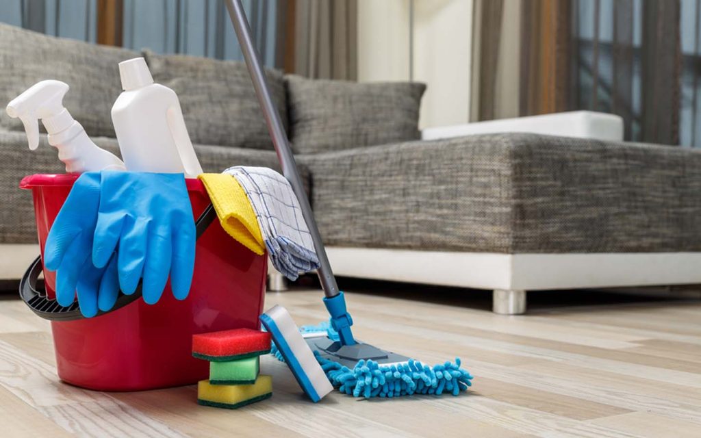 Domestic Help Services